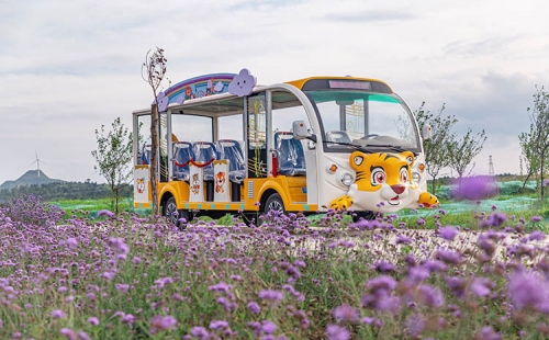 電動觀光車相對燃油觀光車來說有什么優(yōu)勢？